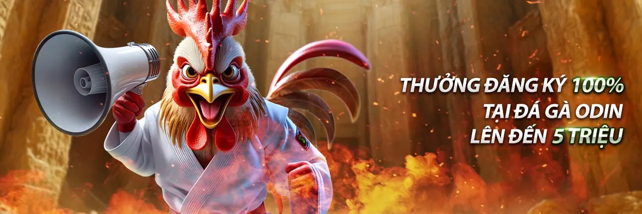 Hình ảnh sân vận động với ánh đèn rực rỡ, biểu tượng cho cá cược thể thao sôi động tại bet89 hiện đang mở